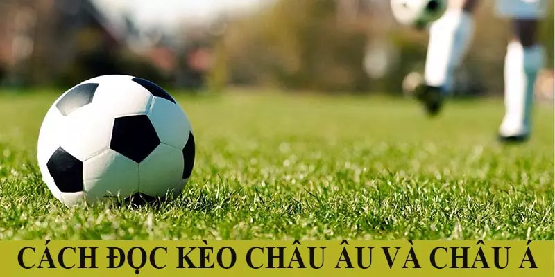 Cách đọc kèo châu Âu và châu Á tại Kubet88