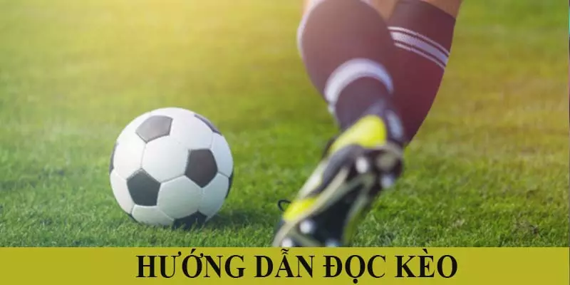 Hướng dẫn đọc kèo châu Âu