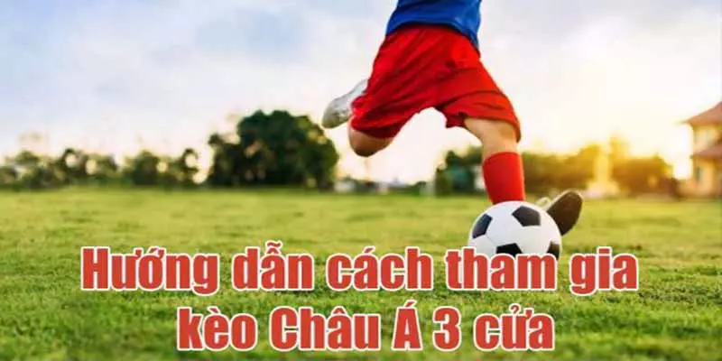 Hướng dẫn người chơi đặt cược chiến thắng