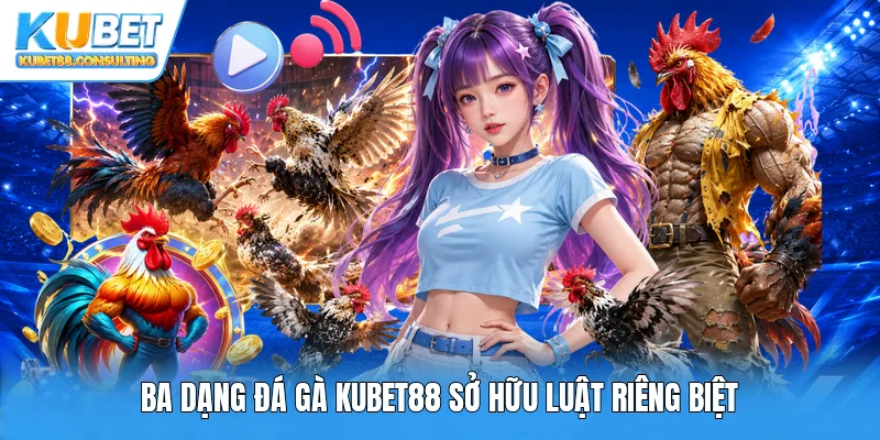 Ba dạng đá gà Kubet88 sở hữu luật riêng biệt
