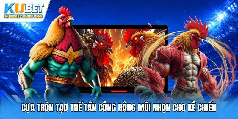 Cựa tròn tạo thế tấn công bằng mũi nhọn cho kê chiến