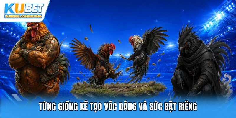 Từng giống kê tạo vóc dáng và sức bật riêng
